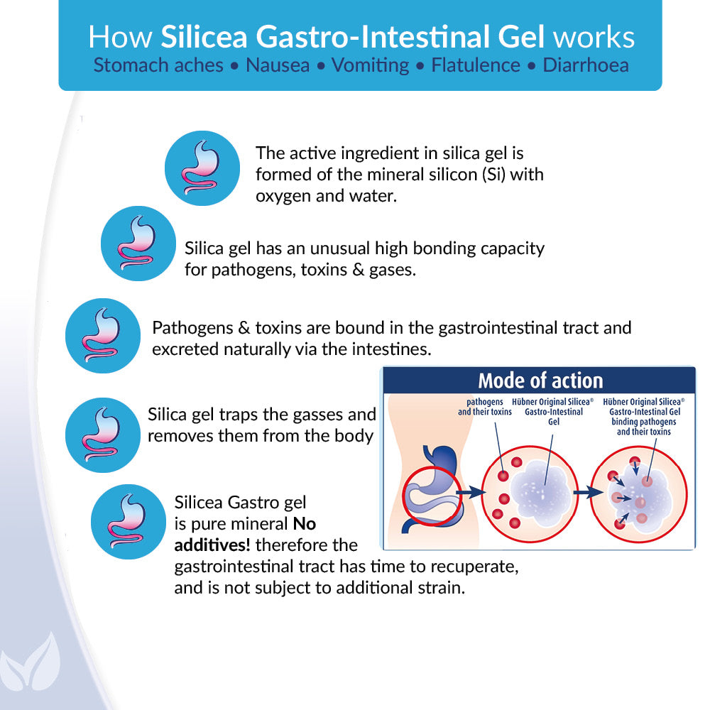 Silicea Gastro Intestinal Gel 200ml